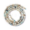 Natural Imperial Jasper Beads Strands G-L578-A03-3