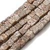 Natural Maifanite Beads Strands G-F631-K26-1