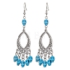 Halloween Skull Dyed Synthetic Turquoise & Alloy Dangle Earrings EJEW-JE05890-05-1