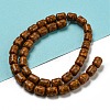 Dyed Synthetic Turquoise Beads Strands G-B070-D02-01-2