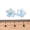 Glass Charms GLAA-G127-05E-3