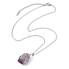 Natural Fluorite Nugget Pendant Necklaces NJEW-JN04507-01-5