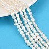 Natural Cultured Freshwater Pearl Beads Strands PEAR-P064-19G-06A-1