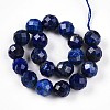 Natural Lapis Lazuli Beads Strands G-S345-10mm-24-3