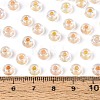 FGB Inside Colours Transparent Glass Seed Beads SEED-T009-01G-4