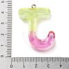 Resin Pendant LS-FIND-Q107-01J-03-3