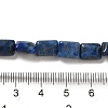 Natural Lapis Lazuli Beads Strands G-G085-A02-01-4