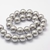 Shell Pearl Beads Strands X-BSHE-L026-05-10mm-2