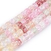Crackle Transparent Glass Beads Strands GLAA-N069-03A-M-1