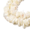 Natural White Mother of Pearl Shell Chip Bead Strands X-G-M205-63-5