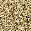 MIYUKI Delica Beads SEED-JP0008-DB0034-3