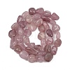 Natural Madagascar Rose Quartz Beads Strands G-Q060-E21-03-3