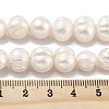 Natural Cultured Freshwater Pearl Beads Strands PEAR-C003-20C-5