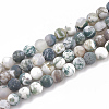 Natural Tree Agate Beads Strands G-T106-039-1