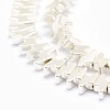 Electroplate Non-magnetic Synthetic Hematite Beads Strands G-L485-19-S-2