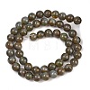 Handmade Lampwork Beads Strand LAMP-B056-8mm-21-3