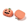 Halloween Theme Opaque Resin Pendants RESI-N039-86-2