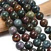 Natural Indian Agate Beads Strands G-G515-12mm-05-1