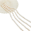 2 Strands Natural Cultured Freshwater Pearl Beads Strands PEAR-NB0002-56-1