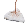 Natural Fluorite Chips Tree of Life Decorations DJEW-P022-01B-05-3
