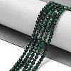 Natural Malachite Beads Strands G-I279-E15-03A-5