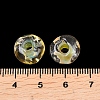 Handmade Lampwork Beads LAMP-A012-02C-3