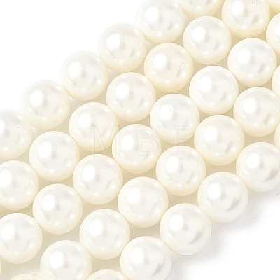 Shell Pearl Beads Strands BSHE-K015-10mm-03-1