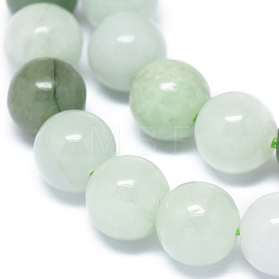 Natural Jadeite Beads Strands G-G789-01B-1