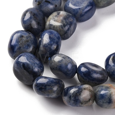 Natural Sodalite Beads Strands G-G146-A03-02-1