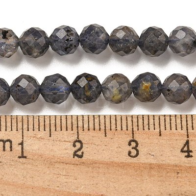 Natural Iolite Beads Strands G-A097-A14-09A-1