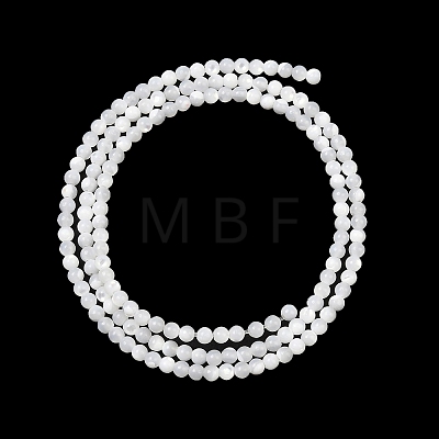Natural White Shell Beads Strands G-A177-04-25-1