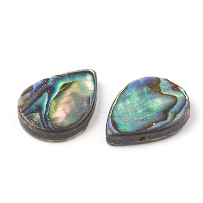 Abalone Shell/Paua Shell Beads SHEL-T005-02-1
