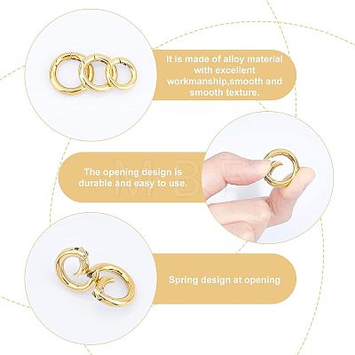 3Pcs 3 Style Ion Plating(IP) 304 Stainless Steel Spring Gate Rings STAS-UN0033-63-1
