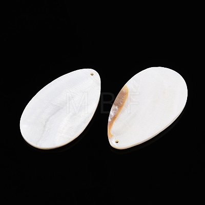 Natural Freshwater Shell Big Pendants SHEL-T020-02-1