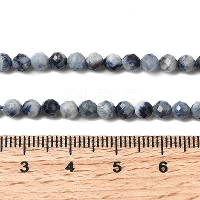 Natural Sapphire Beads Strands G-G343-B05-4mm-1