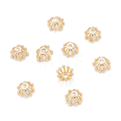 Brass Multi-Petal Bead Caps KK-K251-06G-1