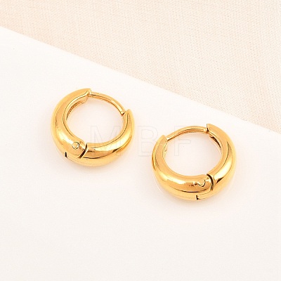 316 Surgical Stainless Hoop Earrings EJEW-C160-06B-G-1