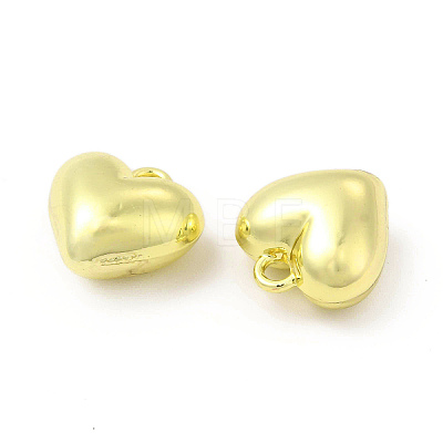 Rack Plating Alloy Charms FIND-C018-06LG-1