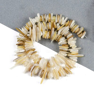 Natural Trochus Shell Beads Strands BSHE-H109-08-1