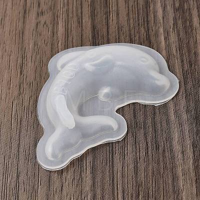 DIY Silicone Molds SL-CBAA8E0-01F-1
