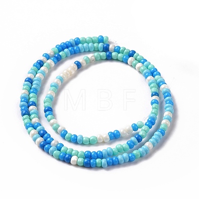 Glass Seed Bead Strands LAMP-B021-04L-1