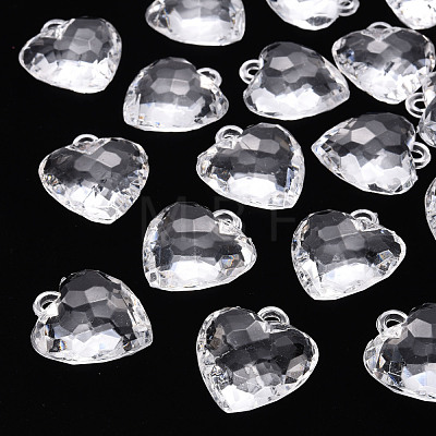 Transparent Acrylic Pendants TACR-T024-03B-205-1