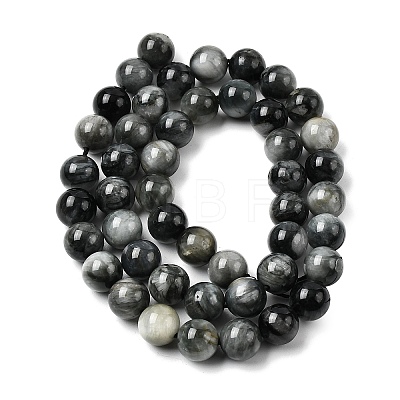 Natural Eagle Eye Stone Beads Strands G-G344-A05-8mm-1