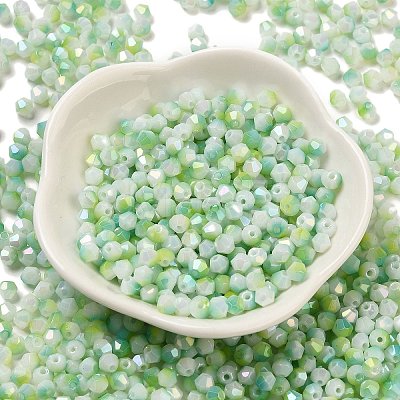 Baking Painted Glass Seed Beads SEED-C004-03E-1