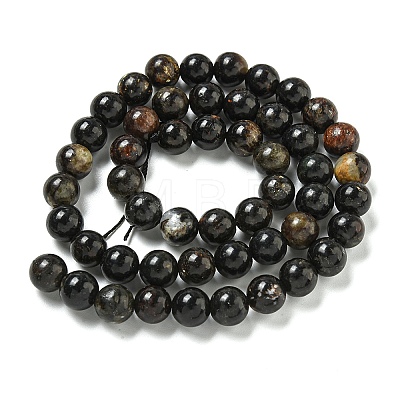 Natural Phlogopite Beads Strands G-P546-A01-03-1