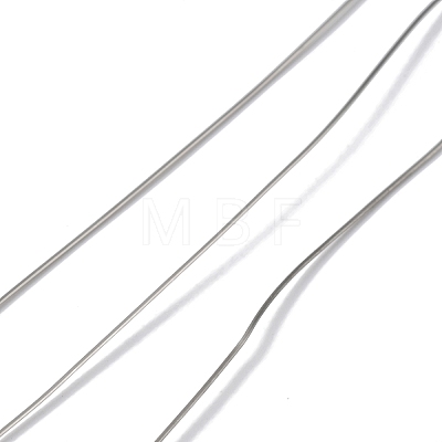 10 Rolls 304 Stainless Steel Wire TWIR-H001-01C-P-1