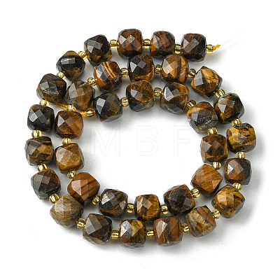 Natural Tiger Eye Beads Strands G-Q010-A09-01-1