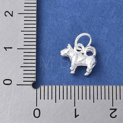 925 Sterling Silver 3D Chinese Zodiac Charms STER-P066-01S-11-1