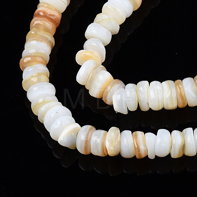Natural Freshwater Shell Beads Strands SHEL-S278-067-1
