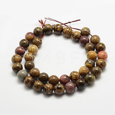 Natural Dendritic Jasper Beads Strands G-E382-07-6mm-1